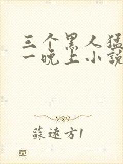 三个黑人猛躁我一晚上小说