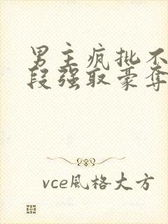 男主疯批不择手段强取豪夺现言