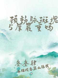 颈动脉斑块1.5厚严重吗