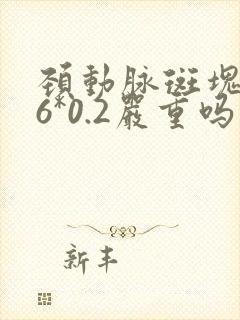 颈动脉斑块0.6*0.2严重吗
