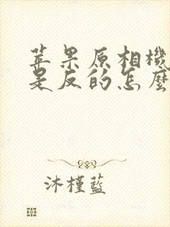 苹果原相机拍照是反的怎么调回来