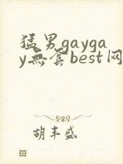 猛男gaygay无套best网站