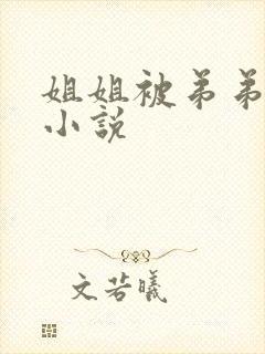 姐姐被弟弟操的小说