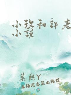 小玫和许老板的小说