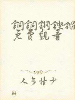 铜铜钢铿锵锵锵免费观看