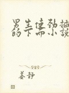 男生使劲插女生的下面小说