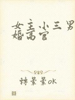 女主小三男主已婚高官