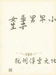 女尊男卑小说男生子