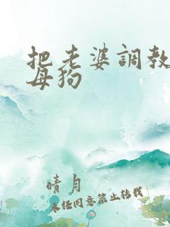 把老婆调教成骚母狗