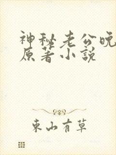 神秘老公晚上见原著小说