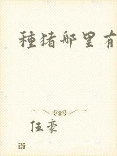 种猪哪里有卖的