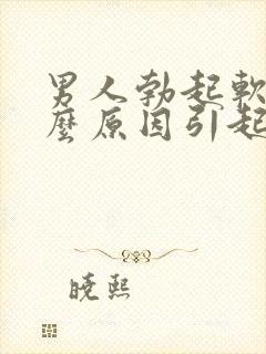 男人勃起软是什么原因引起的