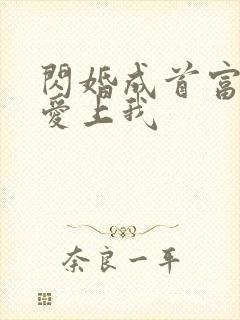 闪婚成首富大佬爱上我