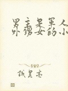 男主是军人舅舅外甥女的小说