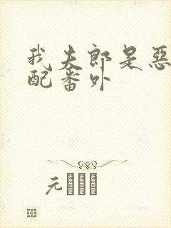 我夫郎是恶毒男配番外