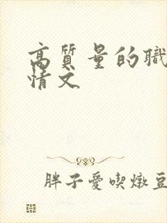 高质量的职场言情文