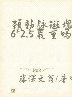颈动脉斑块5.6*2.5严重吗