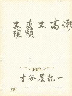 又爽又高潮bb视频