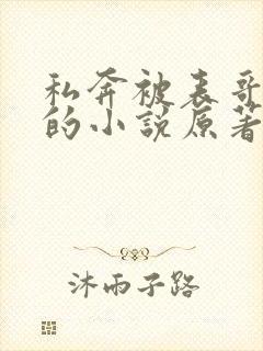 私奔被表哥抓回的小说原著