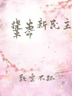 提出新民主主义革命