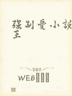 强制爱小说双男主