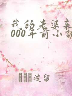 我的老婆来自1000年前小说免费阅读,无弹窗