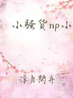 小骚货np小说