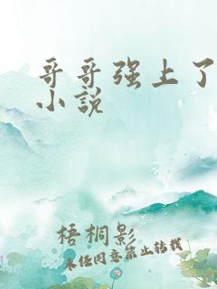 哥哥强上了弟弟小说