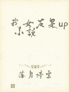 我女友是up主 小说