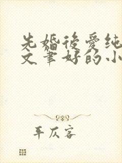 先婚后爱纯古言文笔好的小说