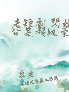 老短剧 闪婚老公是超级豪门