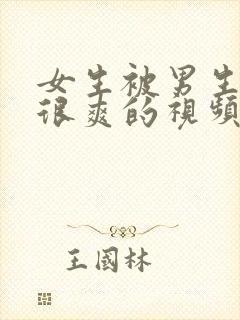 女生被男生操的很爽的视频