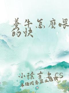 养牛怎么喂牛长的快