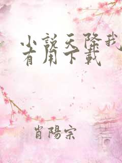 小说天降我才必有用下载