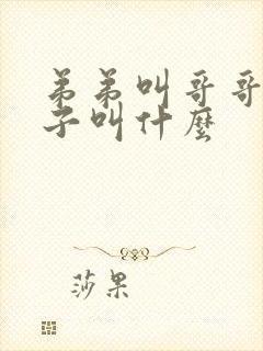 弟弟叫哥哥的儿子叫什么