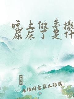 晚上做梦撒尿就尿床了是什么原因