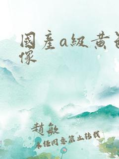 国产a级黄色录像