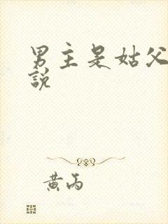 男主是姑父的小说
