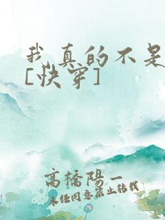 我真的不是渣攻[快穿]