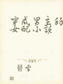 穿成男主的继妹女配小说