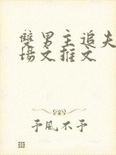 双男主追夫火葬场文推文