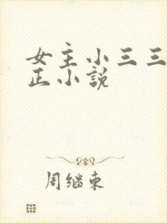 女主小三三观不正小说