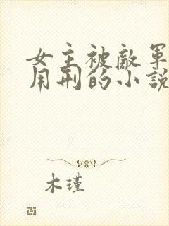 女主被敌军俘虏用刑的小说