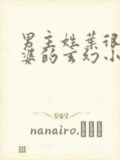 男主姓叶很多老婆的玄幻小说