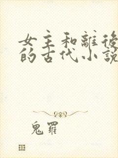 女主和离后二嫁的古代小说