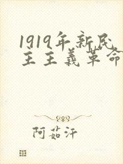 1919年新民主主义革命