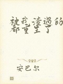 被我渣过的男主都重生了