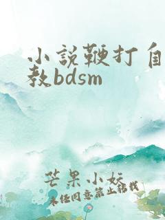 小说鞭打自愿调教bdsm