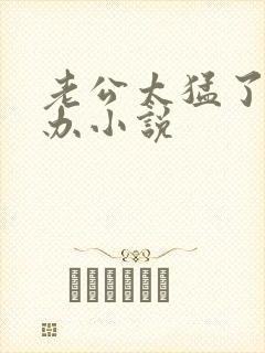 老公太猛了怎么办小说