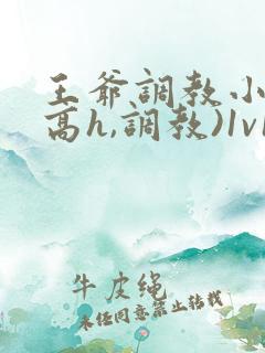 王爷调教小说(高h,调教)1v1